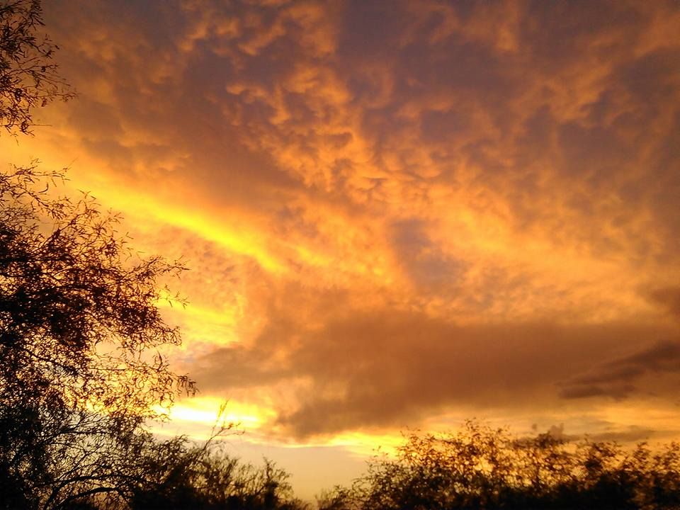 Beautiful Arizona sunsets